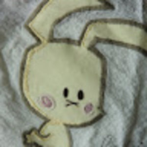 Meet your Posher, Anh thu